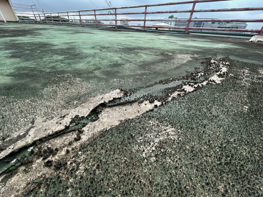An aging flat roof is blistering