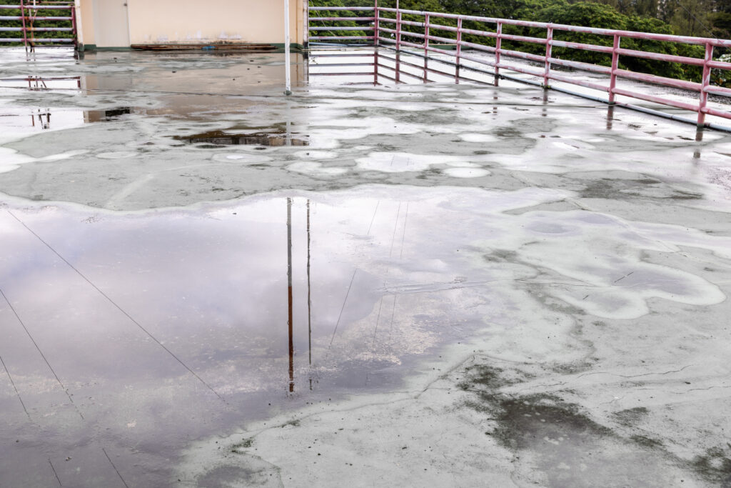 A flat roof has ponding water