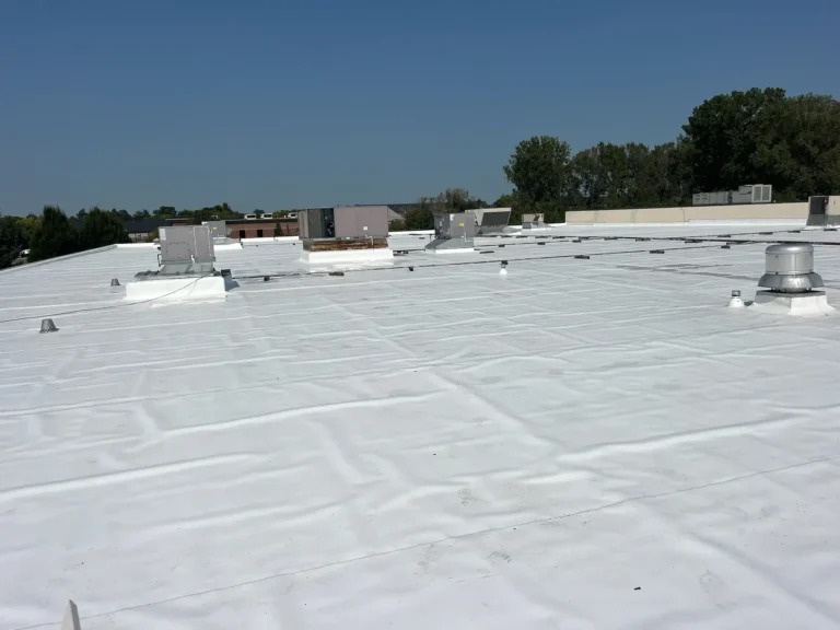 New TPO commercial roof
