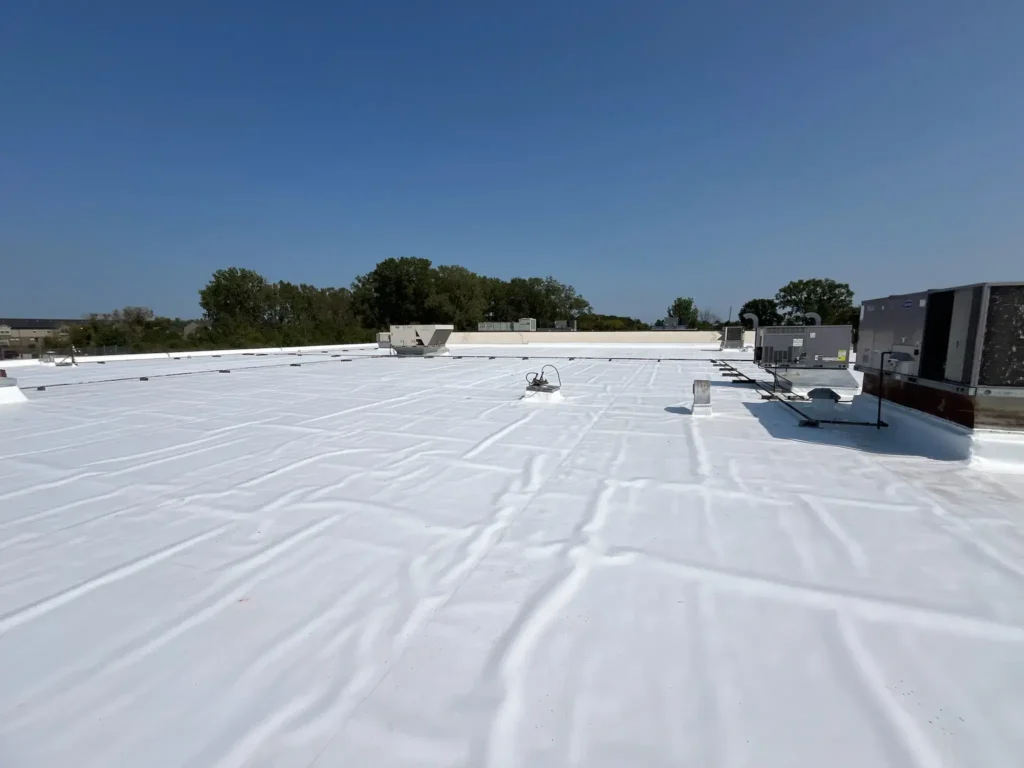 New TPO commercial roof