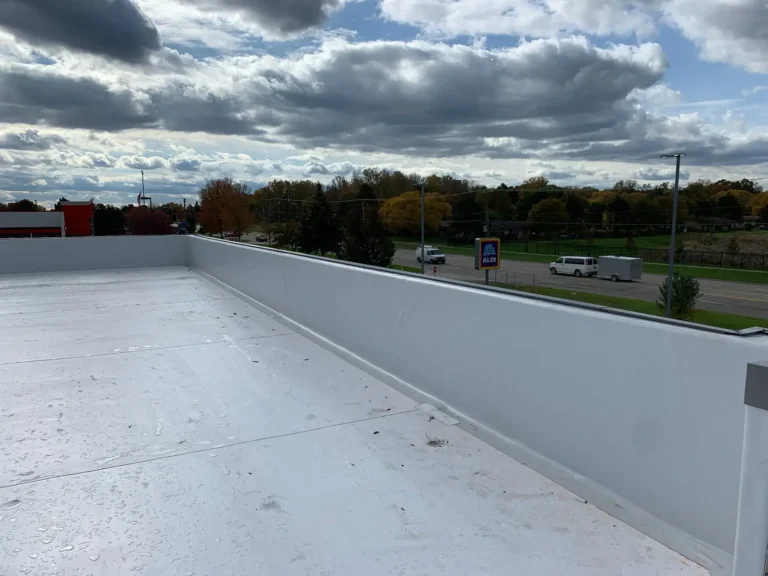 New TPO commercial roof