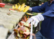 Leaves being cleaned out of roof gutters