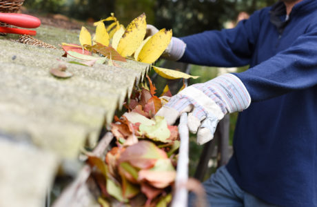 Leaves being cleaned out of roof gutters