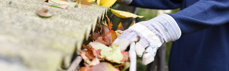 Leaves being cleaned out of roof gutters