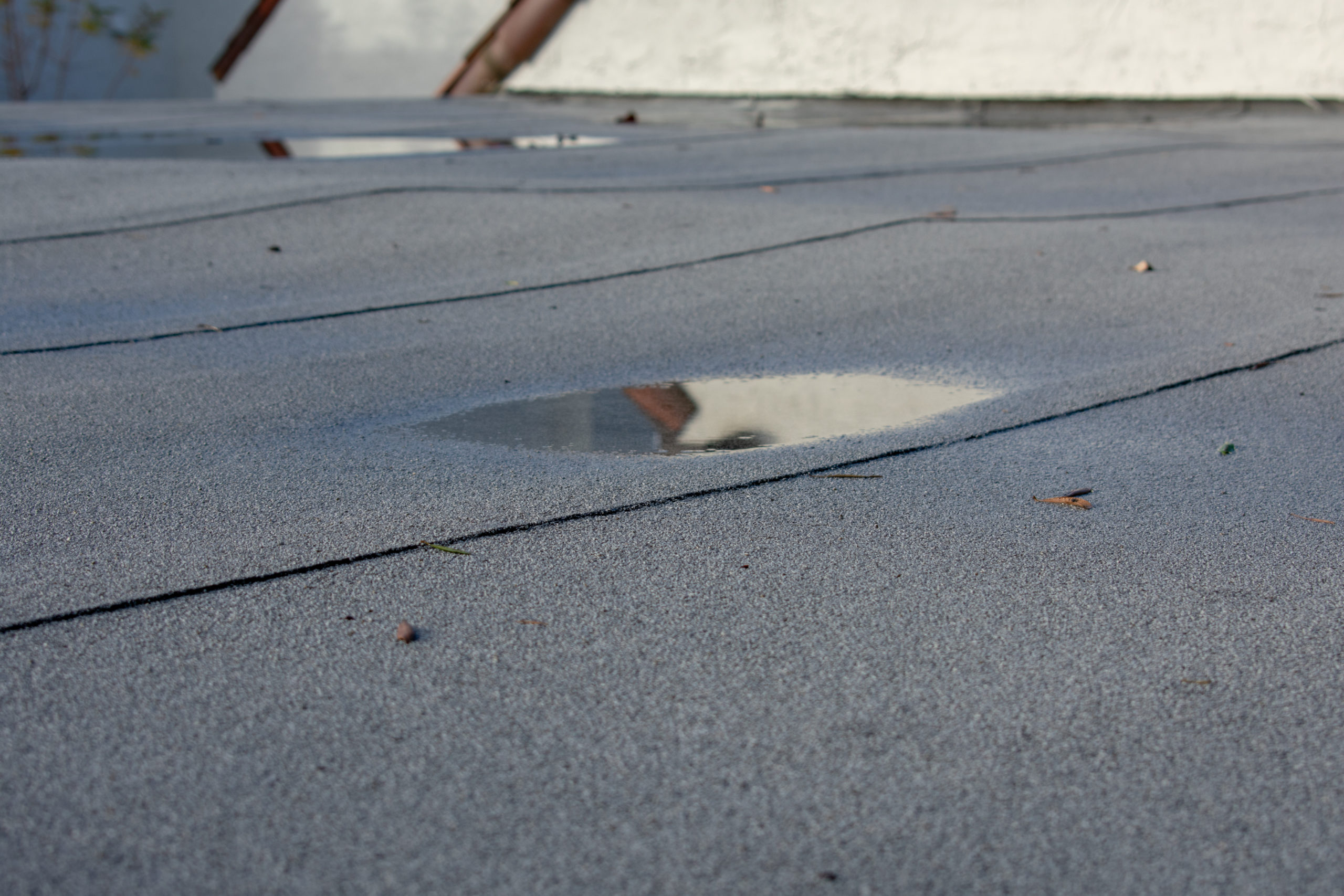 ponding water on a pvc flat roof
