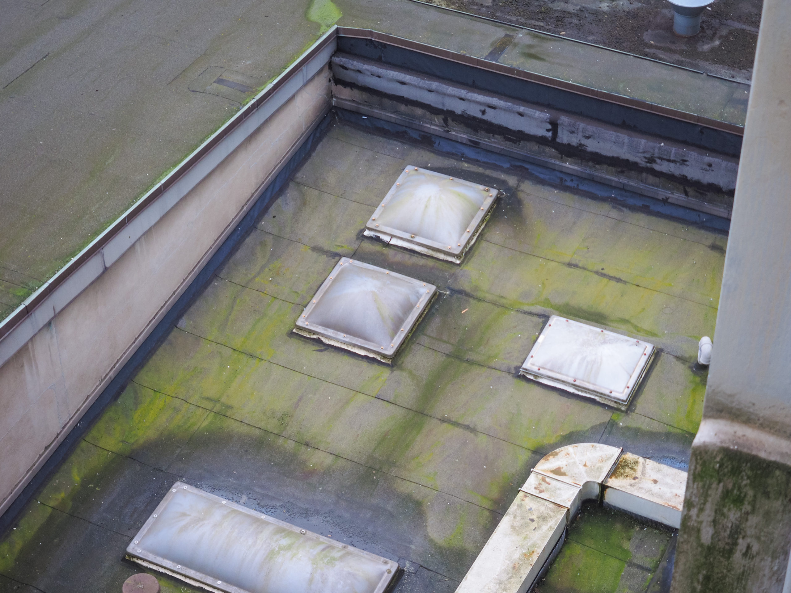 Damaged Flat roof